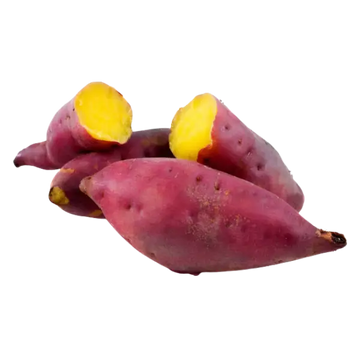 Kjøp Japanese Sweet Potato (มันหวานญี่ปุ่น), per kg på nett - Fodda.no Asiatiske nettbutikk