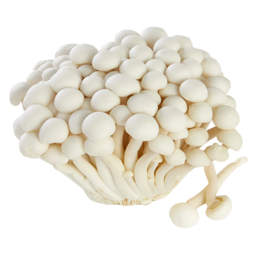 Kjøp Ferske Hvit Shimeji Sopp, 150g - Fodda.no Asiatisk Nettbutikk - Rask levering i hele Norge