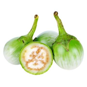 Kjøp Ferske Thai Round Eggplant, 200g - Fodda.no Asiatisk Nettbutikk - Rask levering i hele Norge