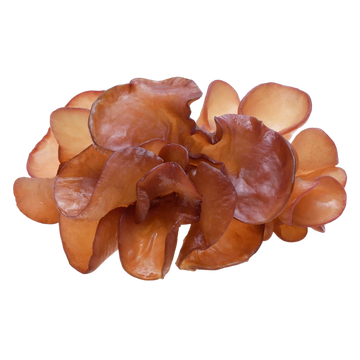 Kjøp Ferske Wood Ear Mushroom, 80g - Fodda.no Asiatisk Nettbutikk - Rask levering i hele Norge