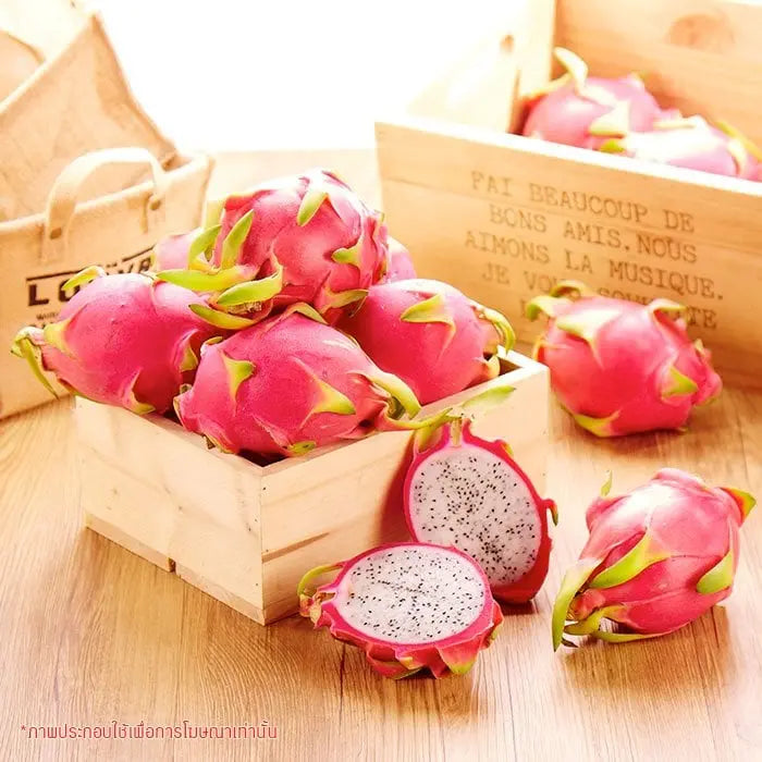 Kjøp Pink Dragon Fruit, per kg på nett - Fodda.no Asiatiske nettbutikk