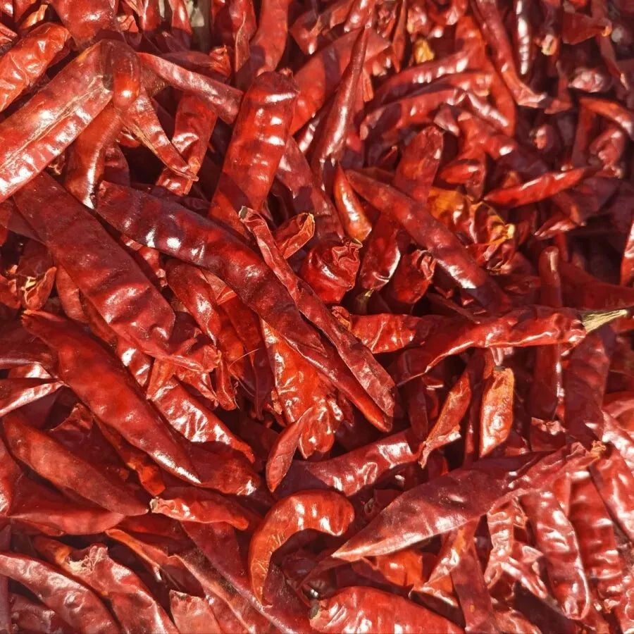 Kjøp Dried Chilli - Aree, 100g - Fodda.no Asiatisk Nettbutikk - Rask levering i hele Norge