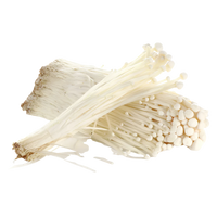 Kjøp Ferske Enoki Mushroom, 80g - Fodda.no Asiatisk Nettbutikk - Rask levering i hele Norge