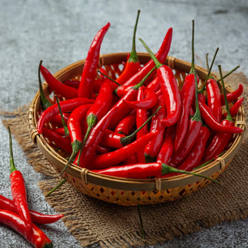 Kjøp Ferske Red Chili, 80g - Fodda.no Asiatisk Nettbutikk - Rask levering i hele Norge