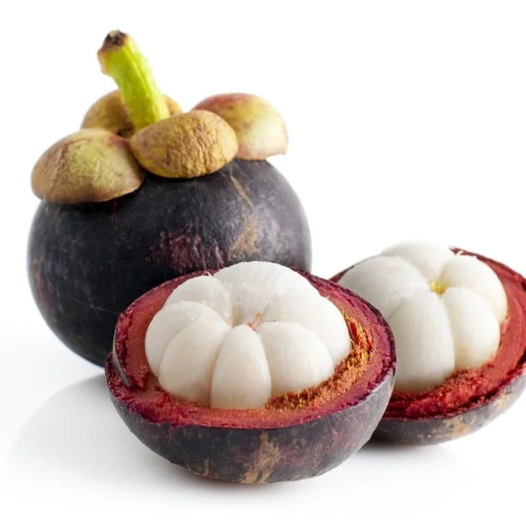 Kjøp Mangosteen Drink - Foco, 350ml - Fodda.no Asiatisk Nettbutikk - Rask levering i hele Norge